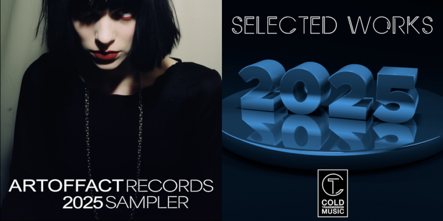 labesampler artoffact records 2025 und selected works 2025 von cold transmission music