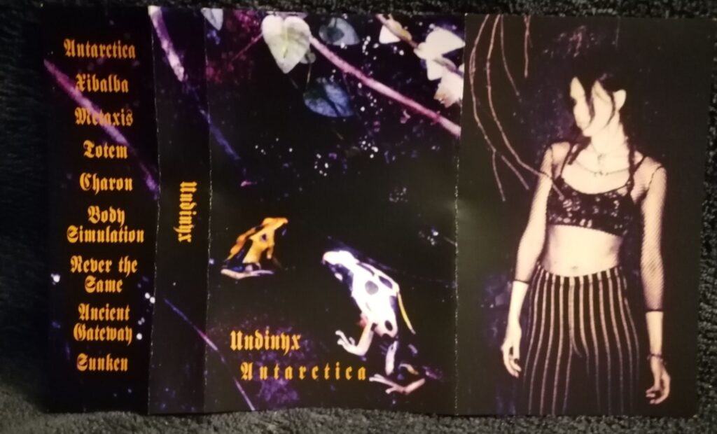 Undinyx - Antarctica, Trackliste, Cover und ein Bild der Künstlerin